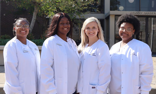 Practical Nursing Officers